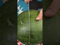 🍉🔪 Watermelon Cutting | Juicy & Satisfying Shorts#trending #shorts #trending