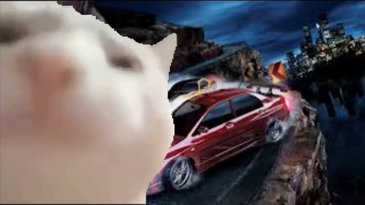 Cat Vibing To NFS Carbon Tuner Theme