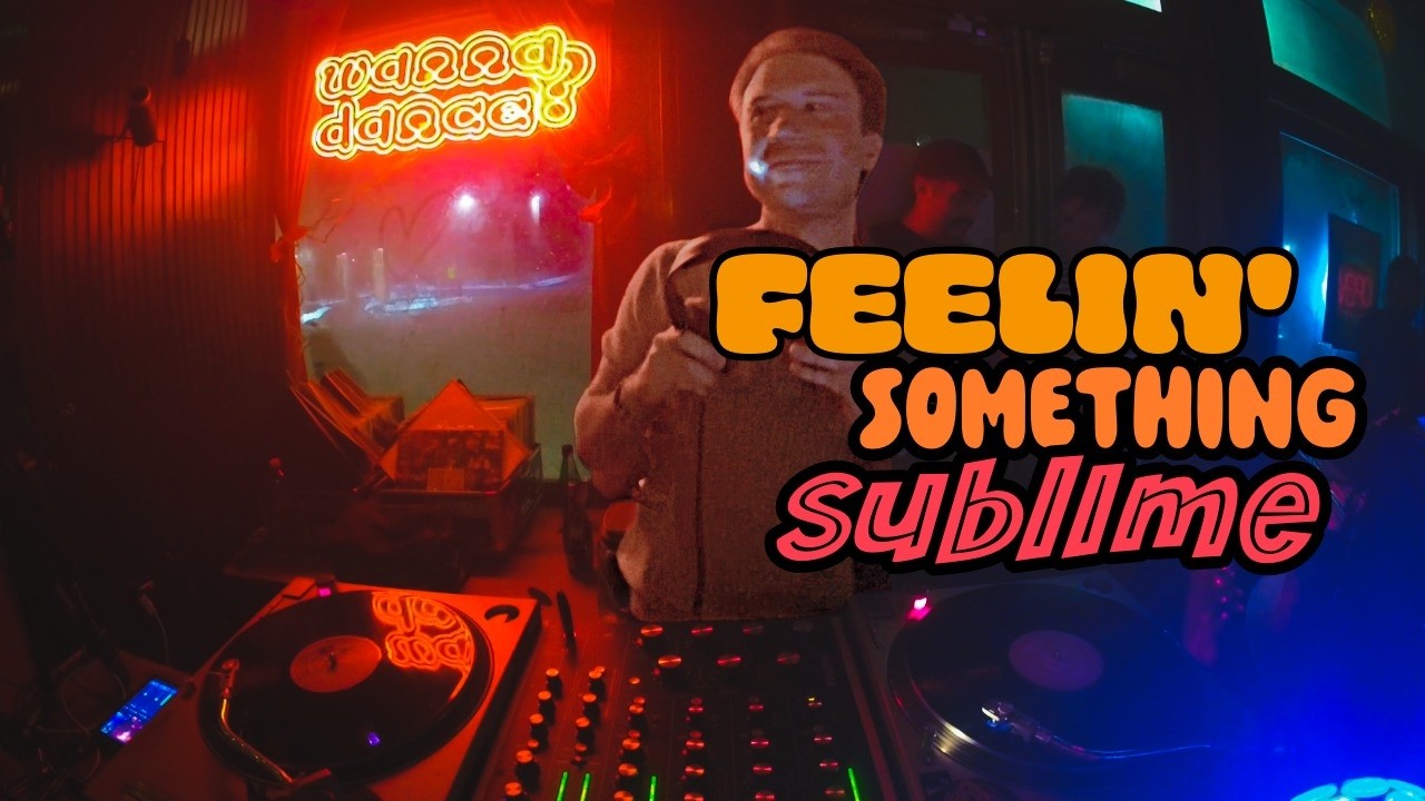 All Vinyl Disco & House DJ Mix (Live at Whirling Tiger) | DeepSpaceDisco and WannaDance DJs