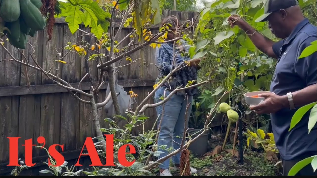 What You Can Grow In A Container Garden