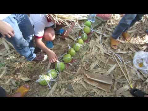 EVOLABLE Asia - Teambuilding game 2