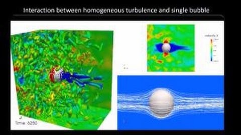 Bubble-Induced Turbulence Study in Shear/Homogeneous Turbulent Flow using DNS with ...