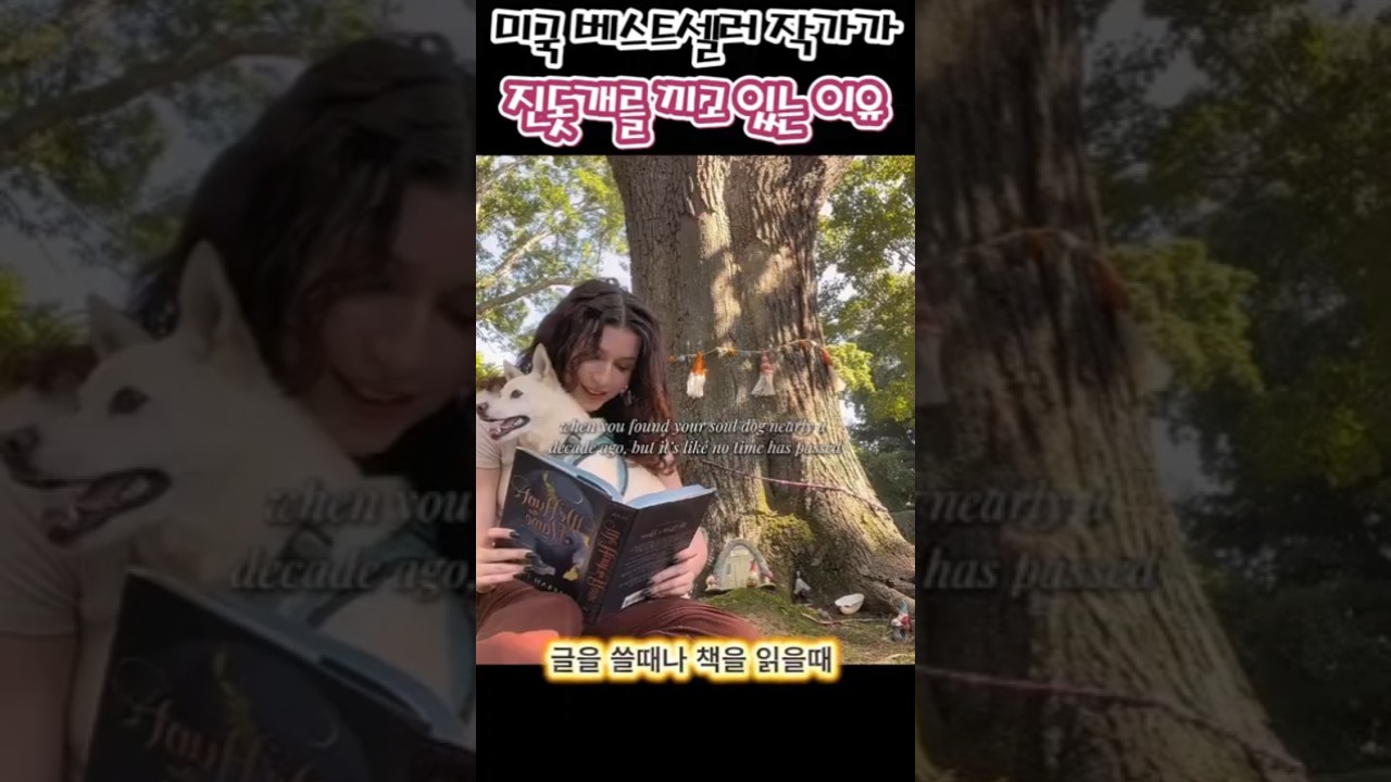 미국 베스트셀러 작가가 진돗개를 끼고 있는 이유 🐕✨ #반려견 #진돗개