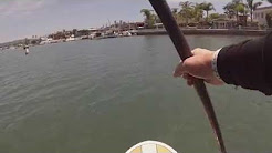 Stand Up Paddle Boarding SUP in Newport Beach