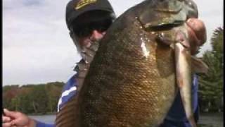 Smallmouth Bass Fall trophy 6 pound