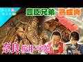 【豊臣兄弟ゆかりの地　桜井～宇陀】太古の風！古都さんぽ×美味いもん　長谷寺～三輪そうめん～大神神社～日本酒～熟成肉　#おとな旅あるき旅 #traveljapan #三田村邦彦　#丘みどり