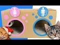 The Cat Toilet Collection | DIY Cardboard Crafts for Kids