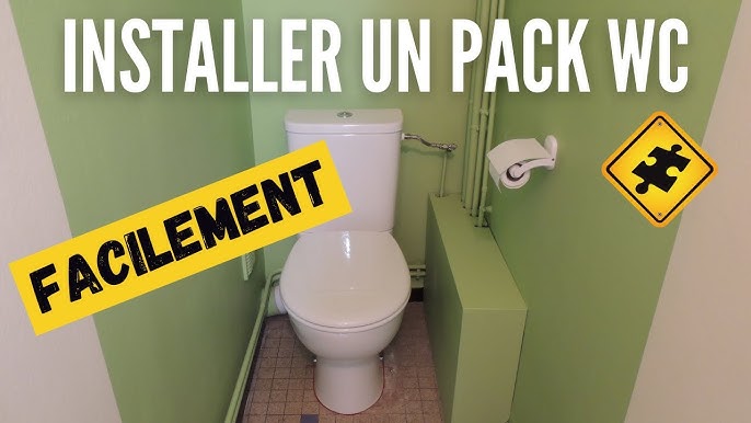 Changer son abattant de toilettes suspendues : mission impossible ? -  Crevette diplomate