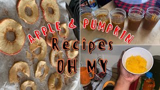 Vlogtober 2022 Day 7 - 3 Easy Apple & Pumpkin Fall Recipes How To Make Pumpkin Puree New