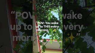 💚morningvibes #gardenvibes #peacefulmorning #indianhome #smallgarden #ytshorts #viralshorts