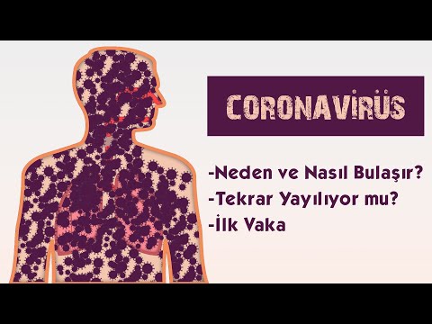 Coronavirüs - Dehşetli Ölüm | Coronavirüs Nedir ve Nasıl Yayılır?