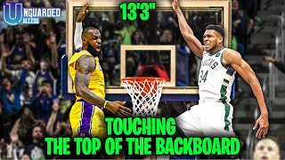 Touching The Top of The Backboard NBA NEW World Record