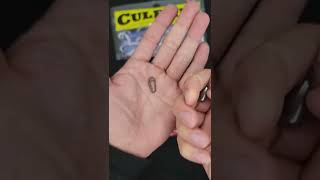 Download Lagu Homemade Jika Rig Using SPRO Prime Snap HD Size 3 - DIY Fishing Rig #shorts MP3