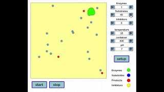 Online Enzyme Activity Instructions