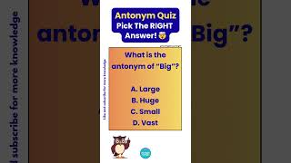 Antonym Quiz: Which Answer Is Correct? 🤯 #shorts