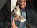 Please share the joy with your friends.  #animals   #funny  #pets #cutecats