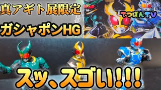 Introducing the limited edition HG gashapon from the True Agito
