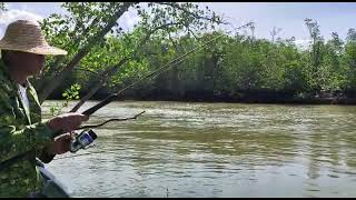 Ikan Semilang Nait Boh..