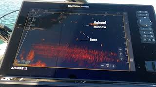 Jighead Minnow with Humminbird Mega Live 2 Sonar
