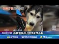 軍購預算爭議
