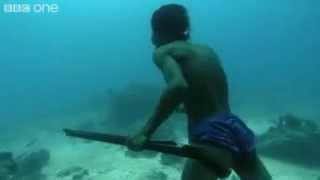 A superhuman Filipino diver from the Badjao tribe