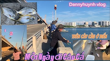 Câu Cá Ở Mỹ-Câu Cá Chim Trên Cây Cầu Ở Biển (Nữ Cần Thủ Kéo Cá Mỏi Tay) #fishing #caucathugian