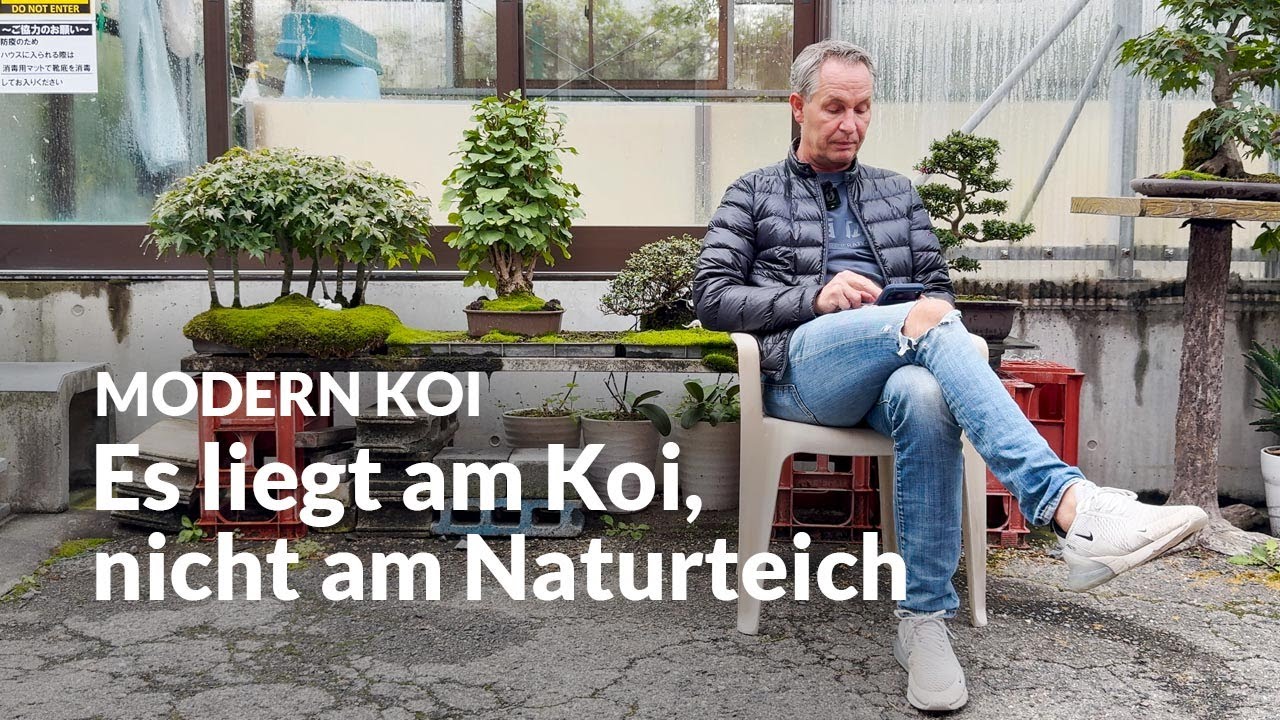 Naturteich: Volumenaufbau ohne Strömung ? | Modern Koi Blog #7730