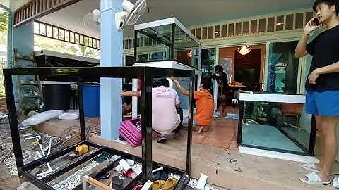 Boss สุขสวัสดิ์ : ร่วมทีมร้านโยตู้ปลา/สลับขาตู้ปลา 72 36 30 กรองข้าง 2 ชั้น สุดโหดโคตรมันส์ !! Set 3