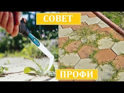 Как избавиться от травы в саду, на даче в огороде и на тротуарной ...