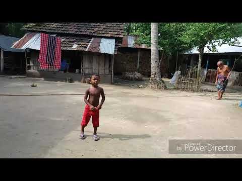 Bird Catching By Hand Gun