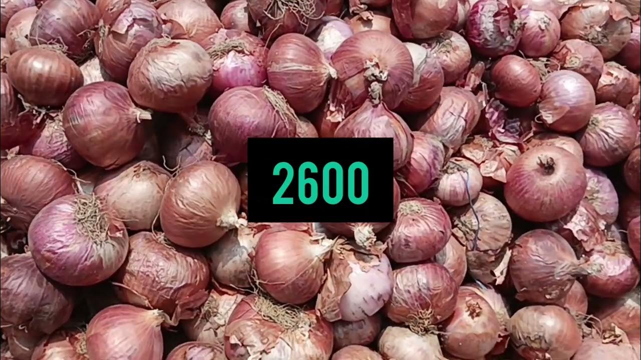 Today,onion,prices,bangalore yeswanthpur apmc yard 27/10/23 YouTube