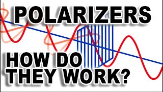 What Is Polarisation And Malus Law?