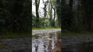 You Dont Need To Prove Anything Today