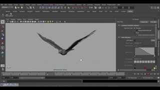 Dove animation wing test [stage 1] screenshot 1