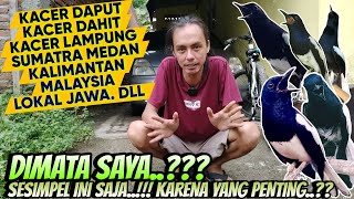 SINGKAT PADAT JELAS ‼️ ANTARA KACER DAPUT, DAHIT, LAMPUNG, LOKAL, KALIMANTAN, MALAYSIA, DLL