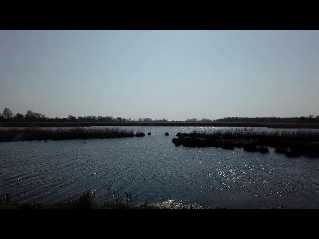 disse  streek  2