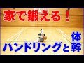 [家でできる練習]ハンドリングと体幹を同時に鍛える！？一石二鳥な練習を２種類まとめて紹介！バスケ練習方法！初心者でも上手くなる！