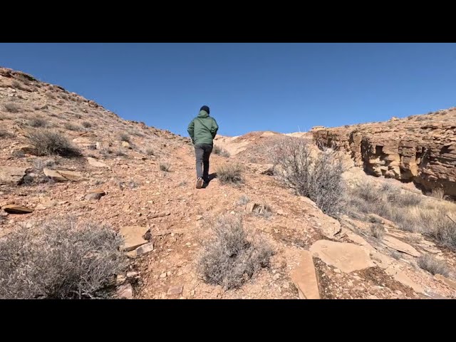 Spontaneous Adventure