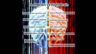 Brain Hemisphere