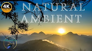 RELAXING NATURE | NATURAL AMBIANCE HEALING RELAXATION MUSIC