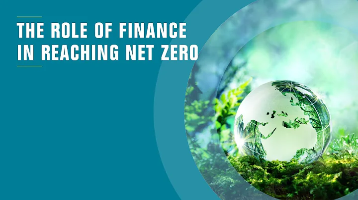 The role of finance in reaching net zero