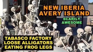 LOUISIANA: New Iberia / Avery Island  Tabasco Factory Tour, Loose Alligators, Eating Frog Legs