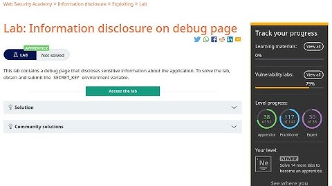 Web Security Academy | Information Disclosure | 2 - Information Disclosure On Debug Page