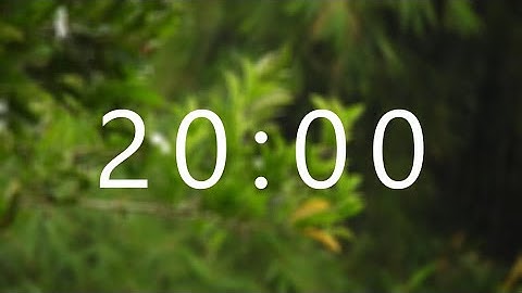 20 Minute Timer with Rain Sounds