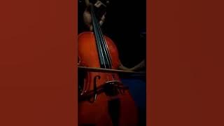 lalayon Fiol // Sedih