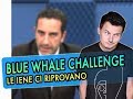 Iene non demordono: sulla Balena loro hanno ragione, tutti gli altri torto