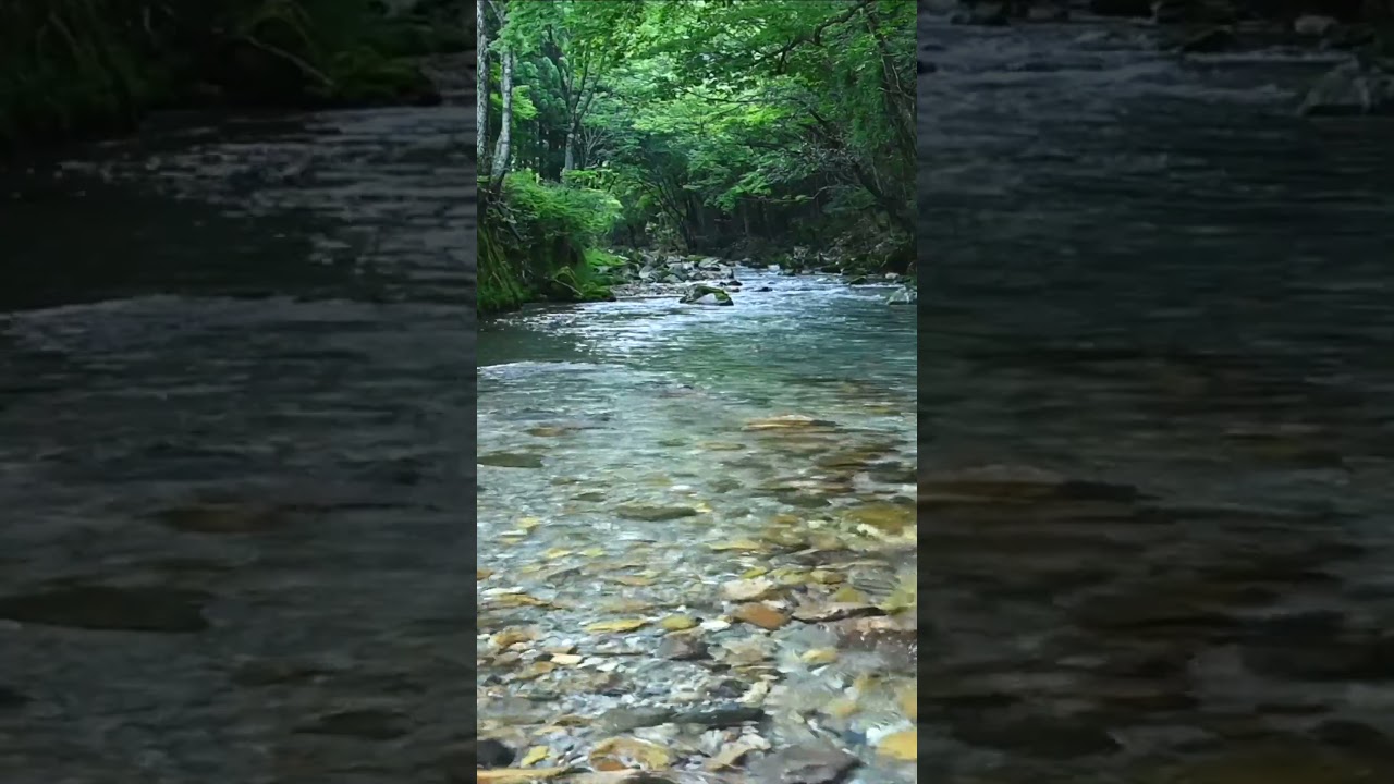 Calming River Water Sounds