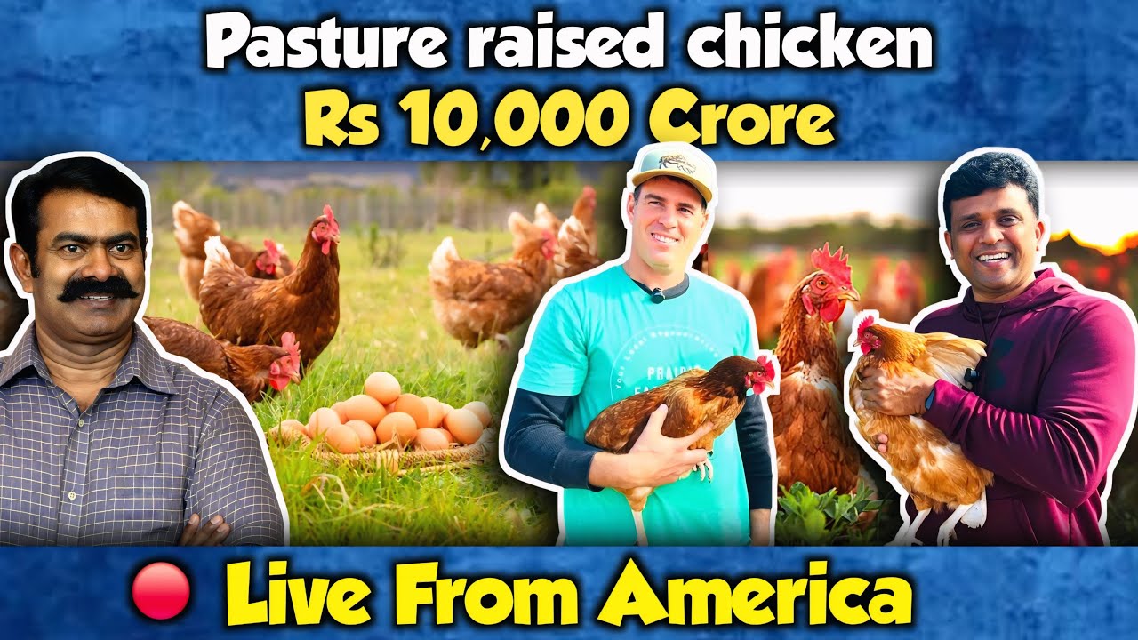 10,000 Crore Pasture raised Chicken - Live from Texas USA|NTK|Naam Tamilar Economic policies|Seeman