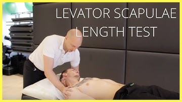 Levator Scapulae Length Test