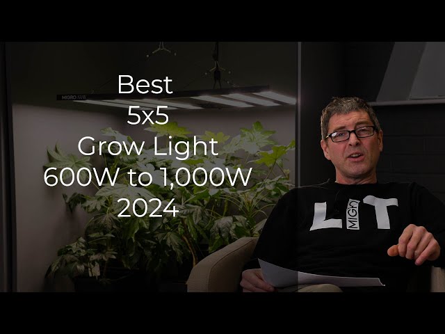 Best 5x5 grow light 2024 class=